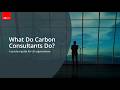 What Do Carbon Consultants Do? A Guide to Carbon Reduction and Net Zero Support