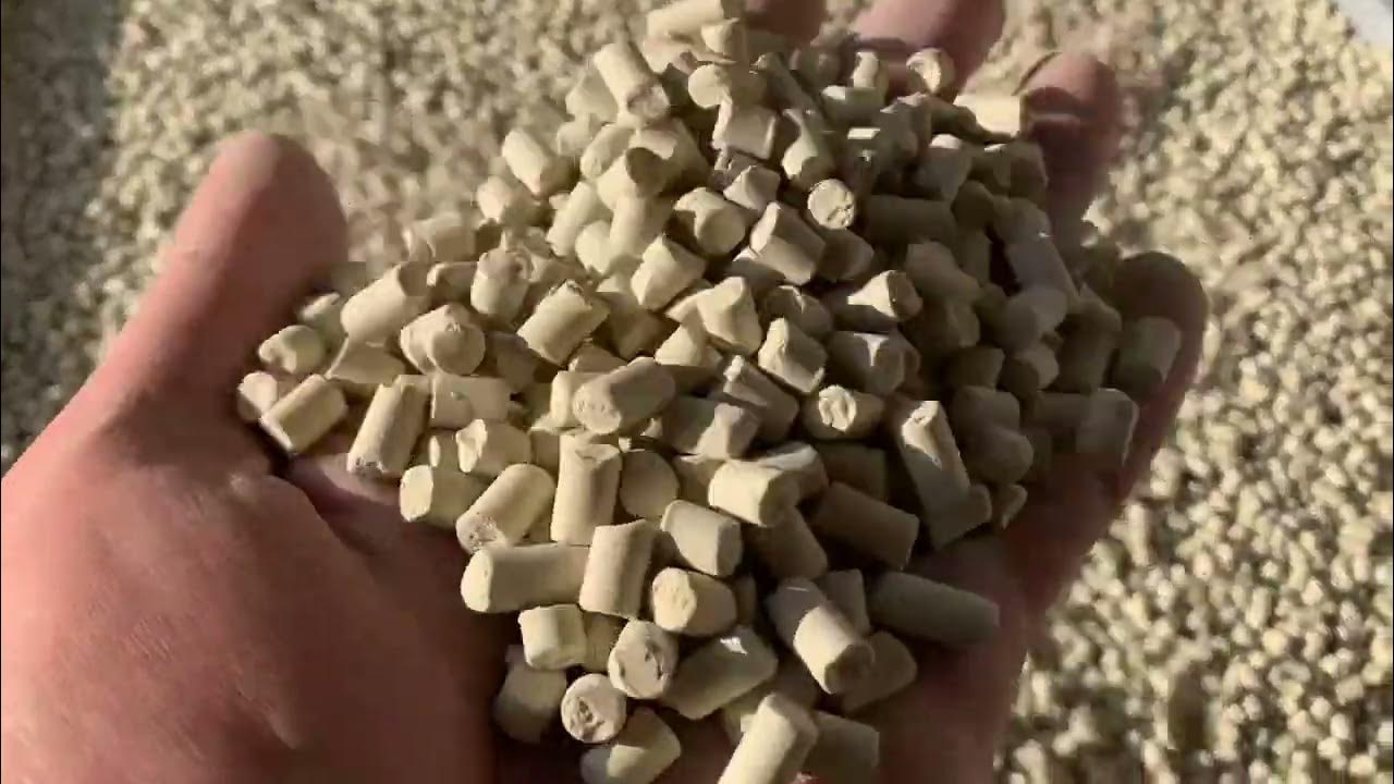 Fresh ZeoDeo Mordenite zeolite cat litter pellets for dual layer cat