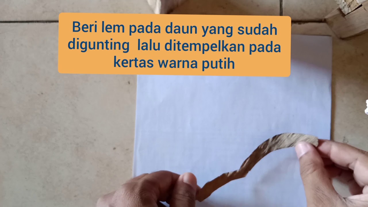  Kolase  gambar  burung  dari  daun  kering hd full YouTube