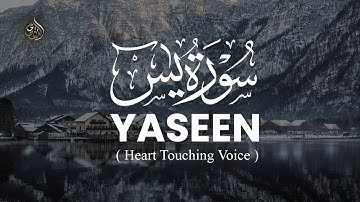 الشيخ سعد الغامدي - سورة يس | Sheikh Saad Al Ghamdi - Surat Yasin | Al Taqwa TV