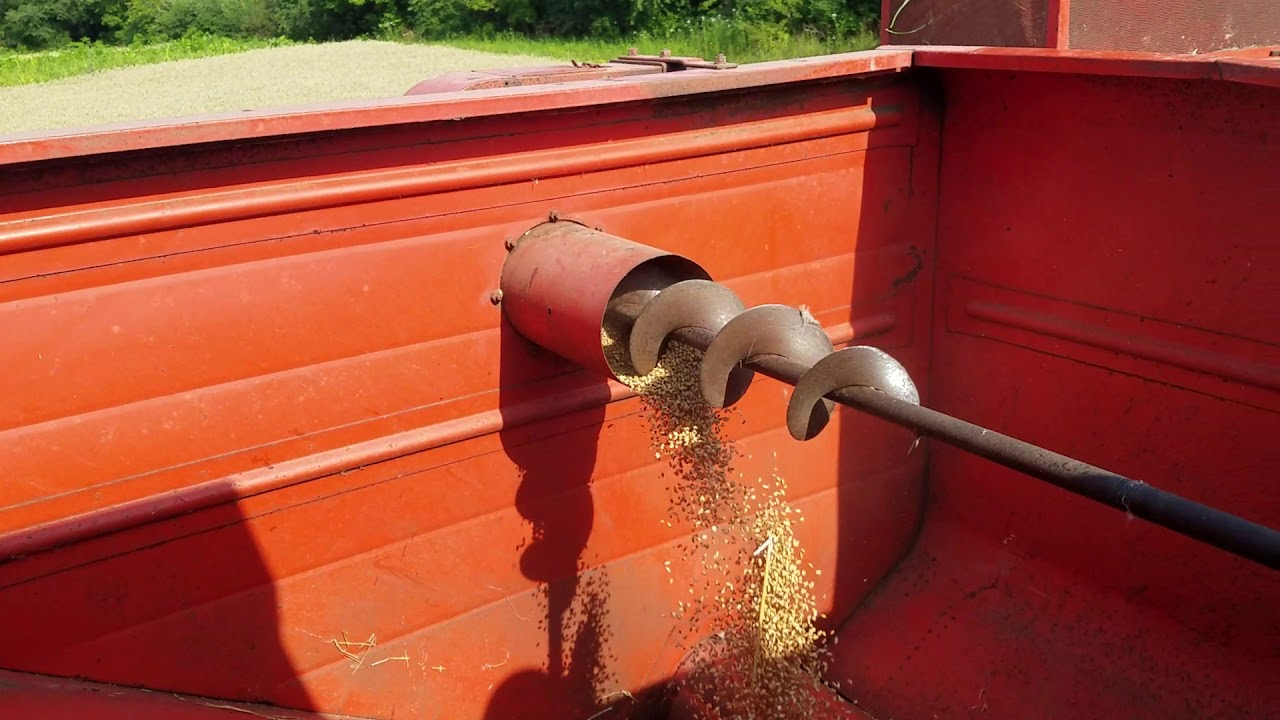 CASE 660 Combine In Wheat YouTube