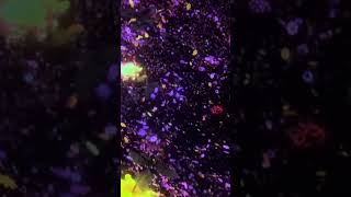 teamLab*Planets Tokyo - amazing experience #art  #exhibition  #teamlabplanets