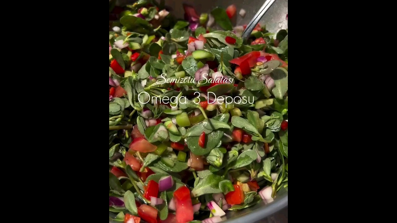 Masterchef Semizotu Salatası Tarifi mutfaktaki.com ‘da #semizotu #semizotusalatası #yemektarifleri Masterchef Semizotu Salatası Tarifi mutfaktaki.com ‘da #semizotu #semizotusalatası #yemektarifleri