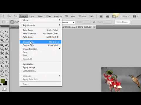 lesson four rollover image withdreamweaver CC