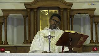 Full 7th Week Of Easter | Sunday Mass -  English News