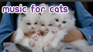 Relaxing Cat Music  EXTREMELY Soothing Music for Cats!