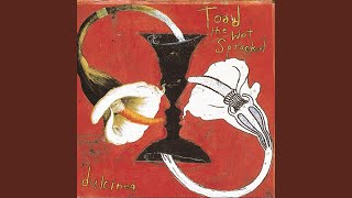 Miniatura de "Toad The Wet Sprocket - Listen"