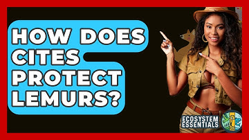 How Does CITES Protect Lemurs? - Ecosystem Essentials