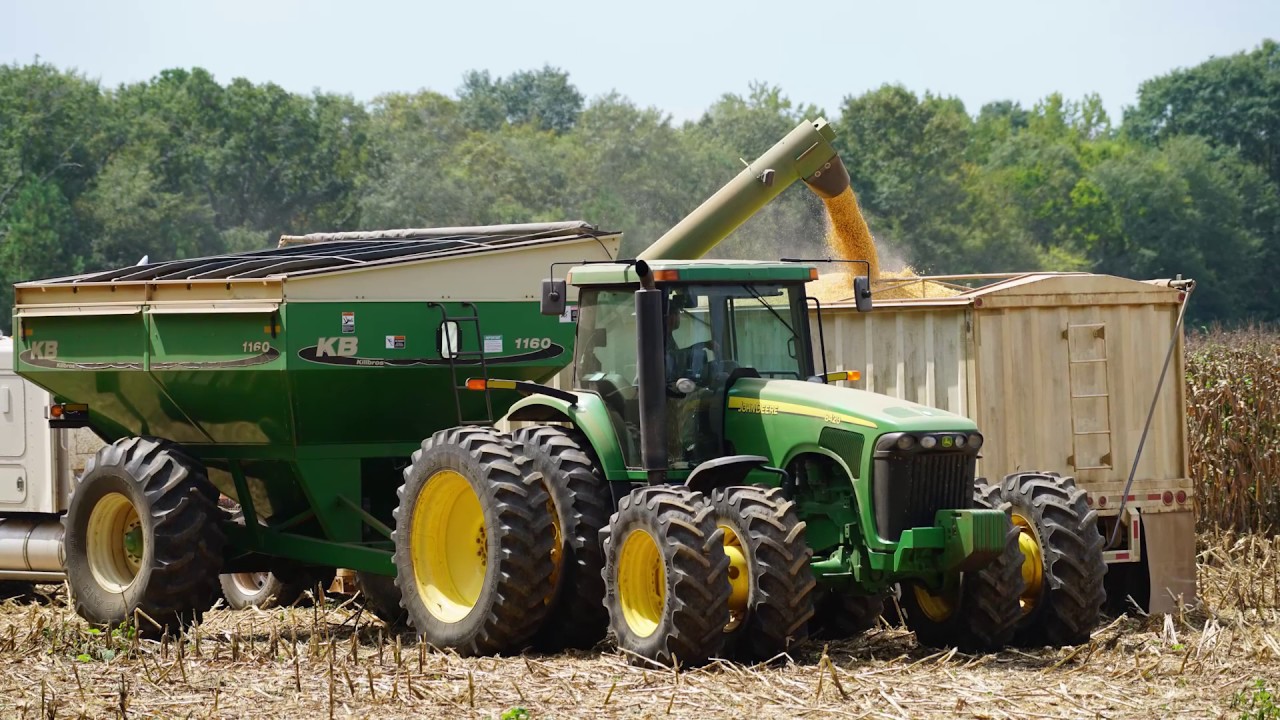 Blue Springs Farm in Shelby County, Alabama YouTube
