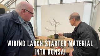 Wiring Larch Starter material into bonsai by Herons Bonsai 9,135 views 3 weeks ago 16 minutes