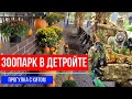 🔴ЗООПАРК В ДЕТРОЙТЕ🔴