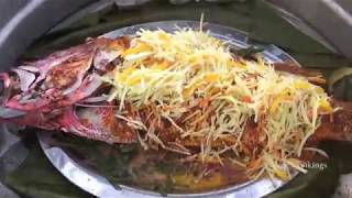 Steaming a 12 Pound Red Snapper!!!!        Village Cookings!!!! 12 Pounds Red Snapper
