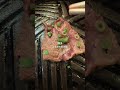 生レバーを自分で炙って食べる