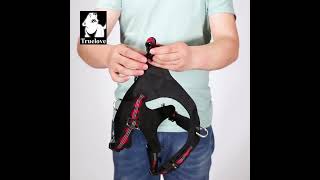 Truelove Uitra Light Safety Pet Harness Small and Medium Large a