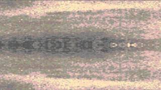 Phrozenlight - what is the meaning of meditation