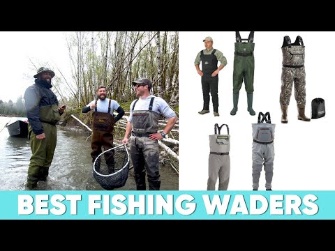 فيديو: أفضل 8 خواضون صيد