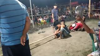 Download Lagu preng keles  vs  tanggul angin pembuka an di desa selotambak kraton MP3