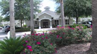 Pinewood Terrace Apartments - Gainesville Apartments