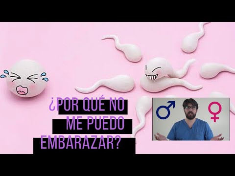 Video: Quiero Un Bebé, Pero No Puedo Quedar Embarazada. Las Causas De La Infertilidad En Una Mujer Sana