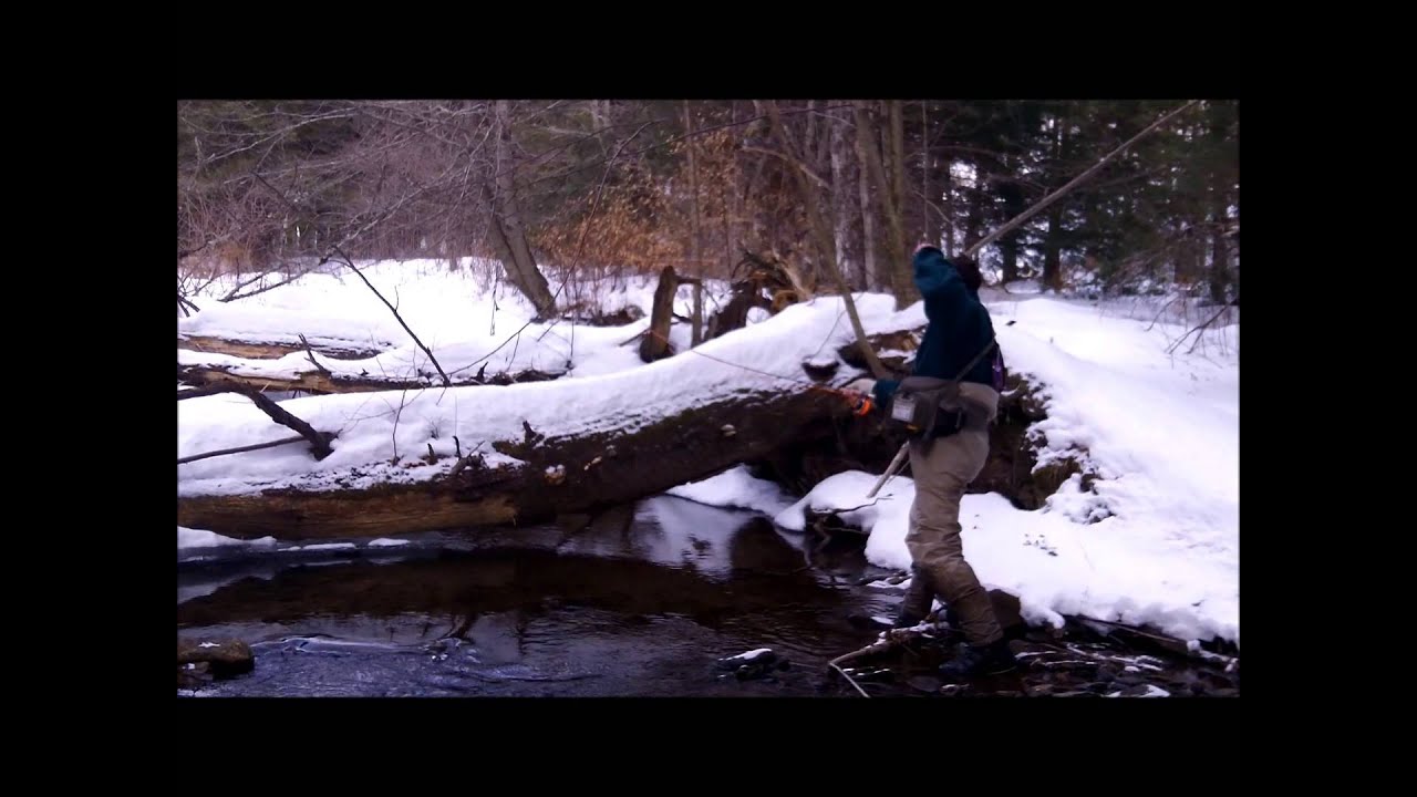 cross fork adventure