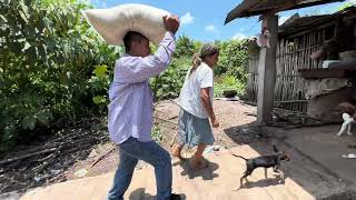 😊And the Corn for the Tortillas Arrived, But Also for Your Hens 🐔