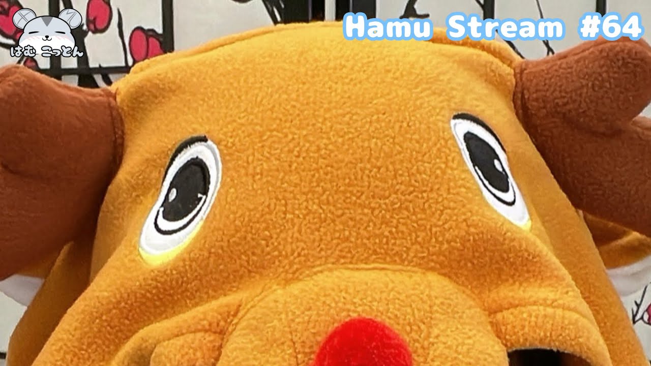 I'M BACK 【Hamu Stream 64】