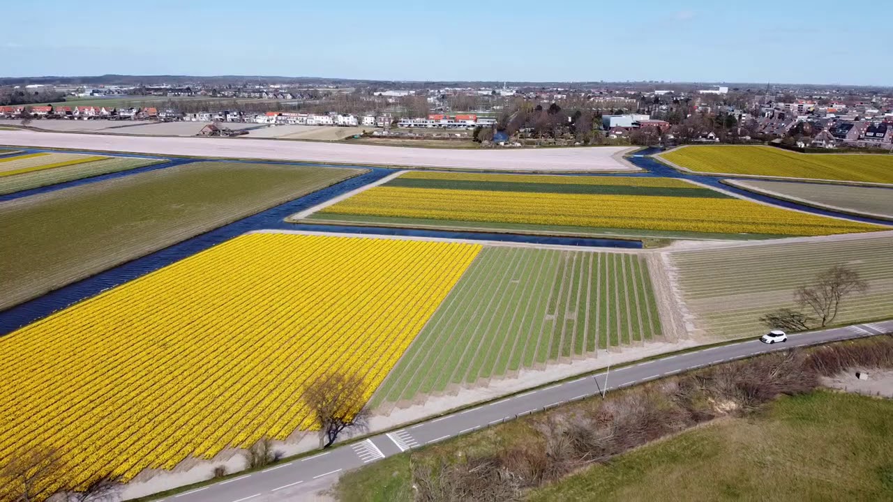 Drone kwijt  - Waar land de drone in Hillegom