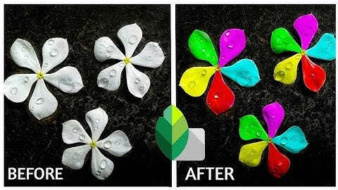 Color change of Flower by using Snapseed 😱 | CamOGraphy | Editing Tutorial |