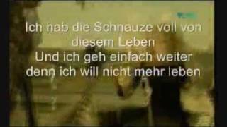 Panik - Lass Mich Fallen (official video with lyrics)