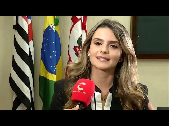 Segurança Pública aprova três requerimentos