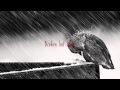 Common Linnets - Broken But Home Lyrics