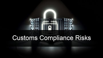 Navigating the Perils: Consequences of Non-Compliance with Customs Regulations