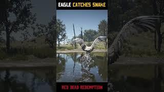 EAGLE Catches Snake /RDR2 #shorts