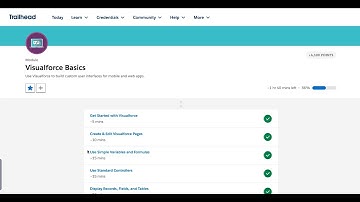 Create & Use Custom Controllers | Visualforce Basics