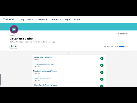 Create & Use Custom Controllers | Visualforce Basics