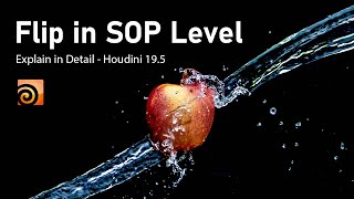 Houdini Tutorial | Flip in SOP Level in Houdini 19.5