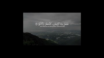 سورة القيامة ( ٣٦ ـــ ٤٠ ) #قران_كريم #quran #اكسبلور #ماهرالمعيقلي