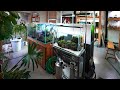 This Change Makes my FISH ROOM so much BETTER!