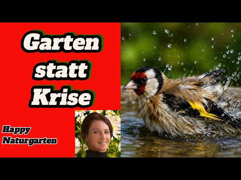 Fit für KlimaExtreme: Pflanzen und Tieren helfen!