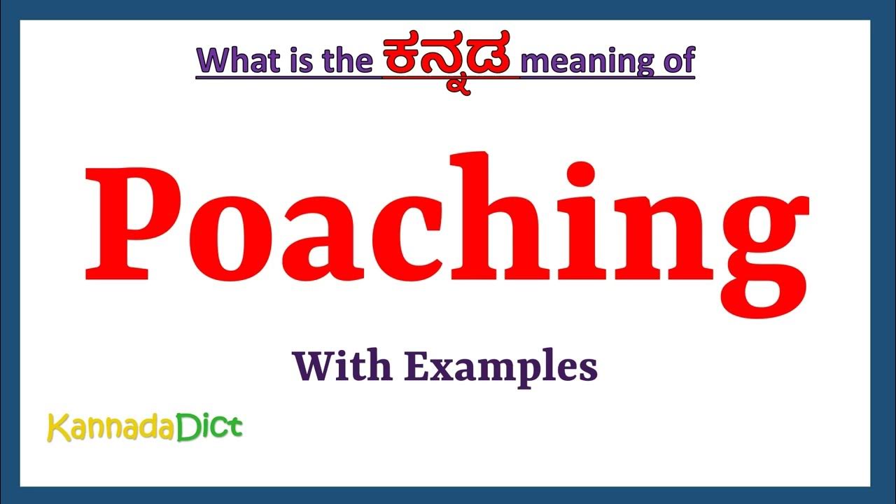 Poaching Meaning in Kannada Poaching in Kannada Poaching in Kannada Dictionary YouTube