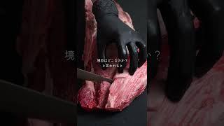 シャトーブリアンだけじゃない牛ヒレ肉。 #asmr #nikuhack #肉磨き