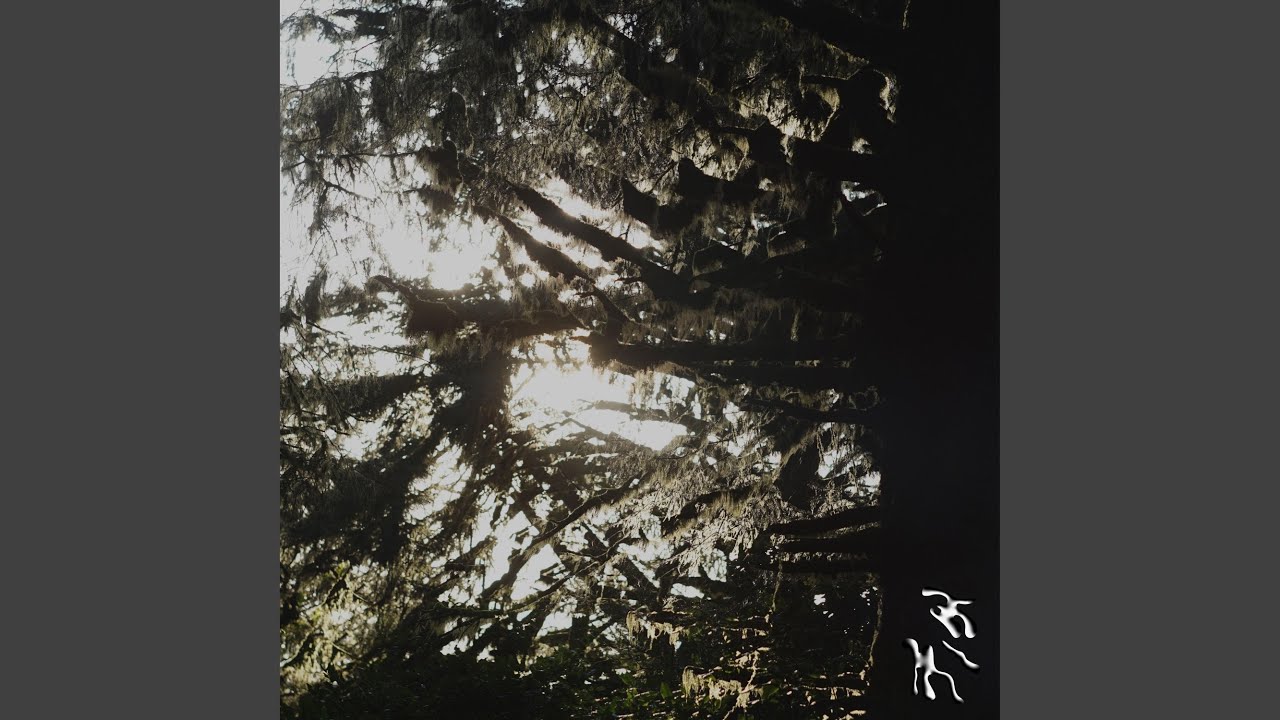 Guarda Clay su YouTube Guarda Clay su YouTube