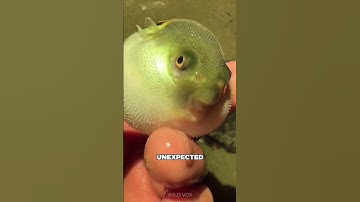 He Ignored His Mom