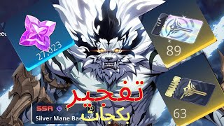 تفتيح بكجات للشخصية الجديدة في لعبة سولو لفلينغ | solo leveling arise