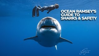 Ocean Ramsey Wants to Teach You Everything She Knows About Sharks  The Inertia