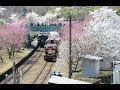 わたらせ渓谷鉄道 春の神戸駅  別れの朝 ペドロ&カプリシャス
