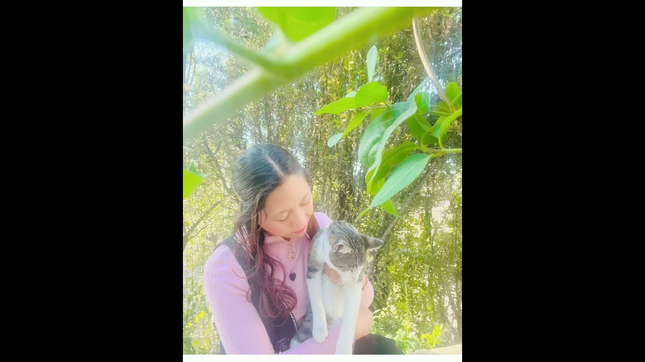 rescue me - Rachel Robison