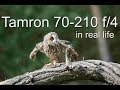 tamron 70-210 f/4, what's it like to actually use?