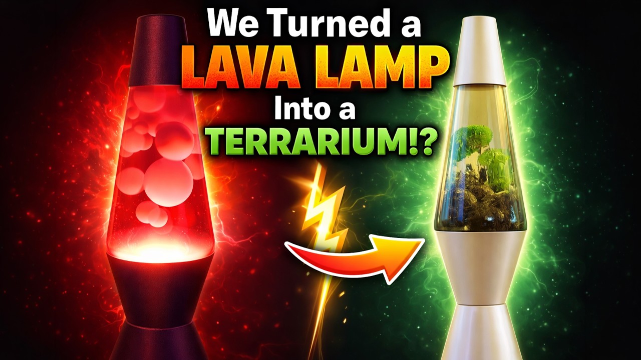 We Turned a LAVA Lamp into a TERRARIUM!?