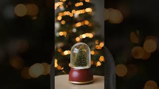 𝐂𝐚𝐧 𝐲𝐨𝐮 𝐫𝐞𝐬𝐢𝐬𝐭 𝐬𝐡𝐚𝐤𝐢𝐧𝐠 𝐚 𝐬𝐧𝐨𝐰𝐠𝐥𝐨𝐛𝐞?